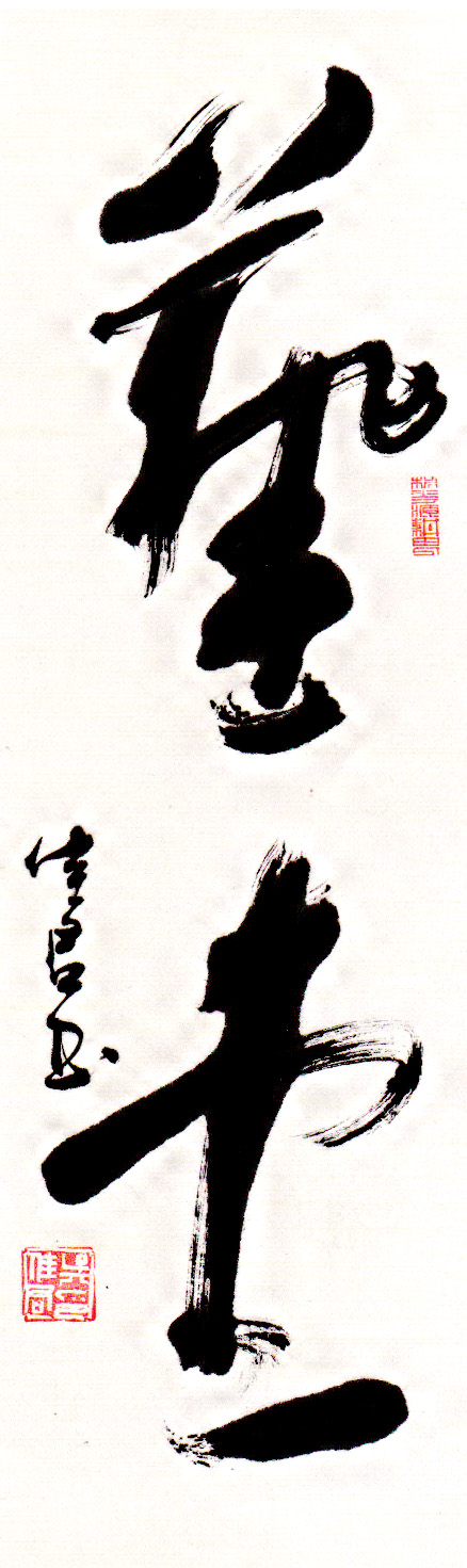 无心泼墨成丹青 吴佳君谈书法之美