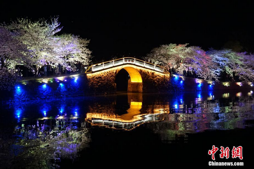 水雾缭绕之间，配合着音乐，前来无锡鼋头渚夜游的人们“醉”在了画中、花中。 孙权 摄
