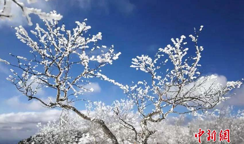 -38℃！“中国最冷小镇”现雾凇绵延百里