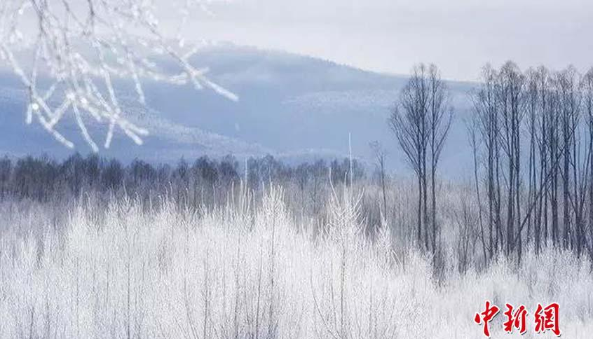 -38℃！“中国最冷小镇”现雾凇绵延百里
