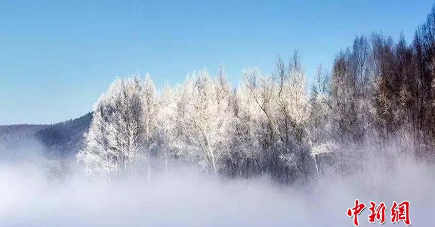 -38℃！“中国最冷小镇”现雾凇绵延百里