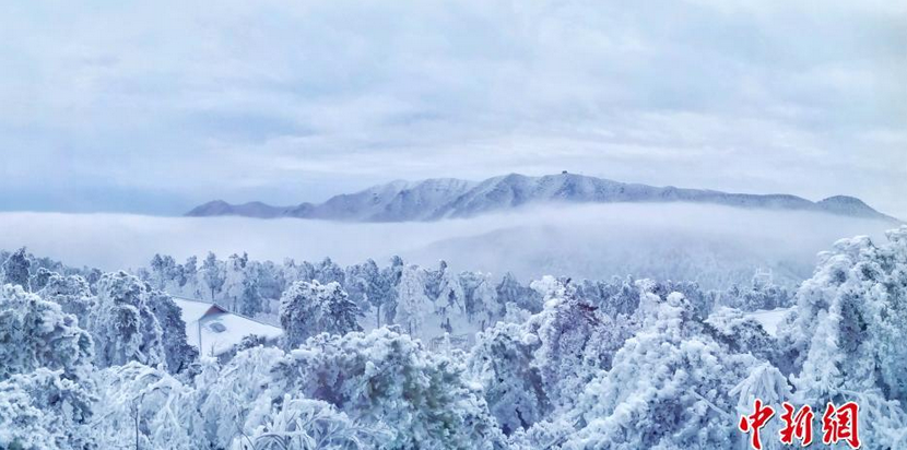 苍山负雪千岩一素 雪霁庐山成童话世界