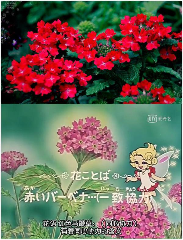 《花仙子》40年：变身美少女带来的百科全书