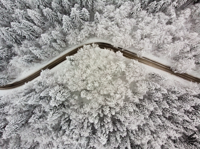 北京冬日初雪 与你分享这些拍雪小创意