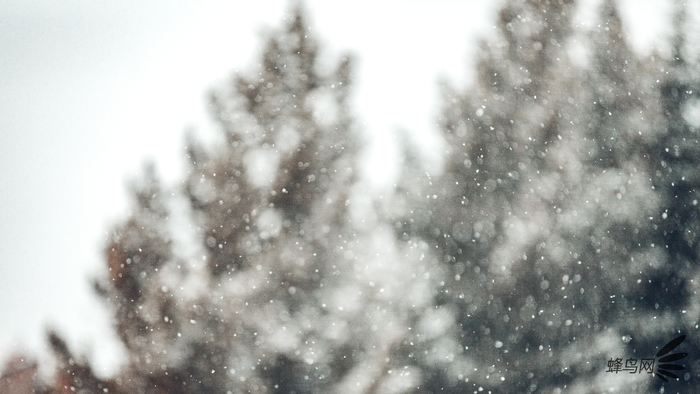 北京冬日初雪 与你分享这些拍雪小创意
