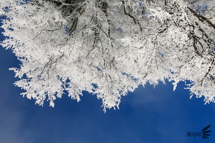北京冬日初雪 与你分享这些拍雪小创意