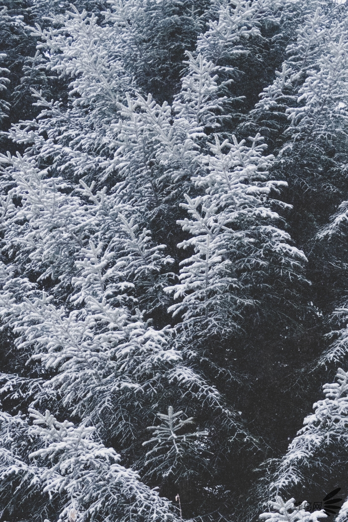 北京冬日初雪 与你分享这些拍雪小创意