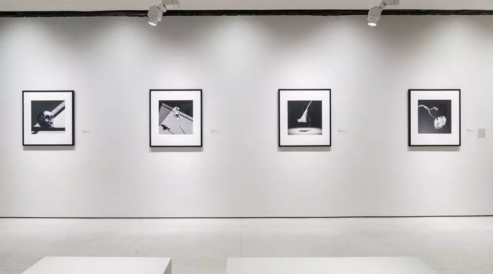 展讯：到纽约所罗门·R·古根海姆看一场摄影展