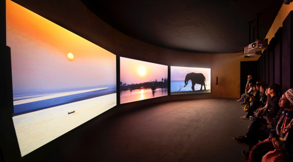 2019威尼斯双年展：艺术如何面对虚假新闻和另类事实